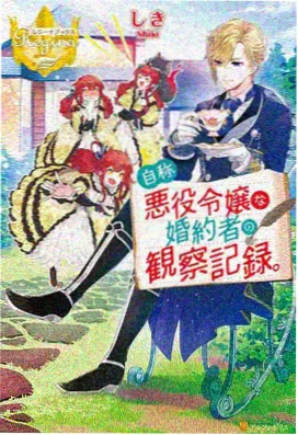 成何体统观看设备适配示意